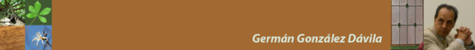 Germáns