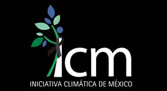 ICM